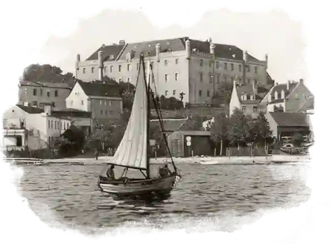Ryni loss linnulennult